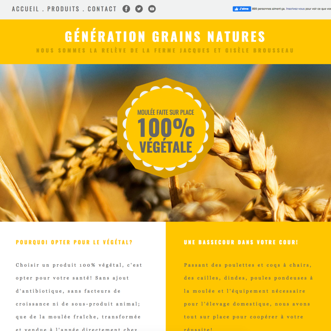 Site web Génération Grains Natures