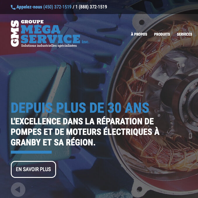 Site web du Groupe Mega Service